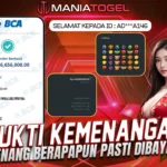 Bukti Kemenangan 46jt di Starlight Princess!