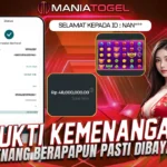 Bukti Kemenangan 48 JT di Game Starlight Princess Super Scatter